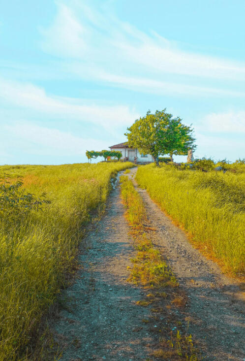 The Path